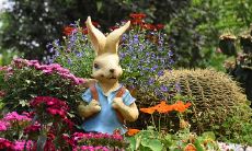 属鸡的在2023年结婚好不好（1996属鼠一生有二婚何时出现）