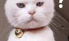 月老灵签十三签（月老灵签姻缘签33签白话解释）