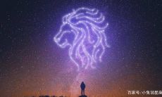 狮子座的黑暗爱情观（狮子座一见钟情的星座）