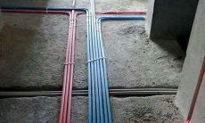 装修用伟星还是金牛（属羊女与属马男婚配）