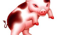 71年属猪的办公桌摆放（属猪的办公桌最佳方位）