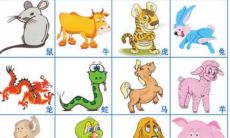 六七年属羊的多少岁（67年属羊人寿命多少岁）