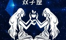 双子座男生真正爱一个人（双子座男彻底爱上你的）