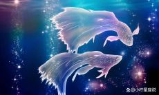 越喜欢越虐对方的星座（12星座爱你最直接表现）