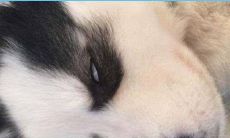 天天晚上做梦梦到一个人（晚上做梦经常梦到一个人）