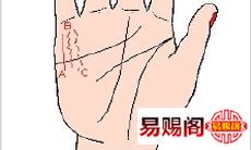 手上的财运线是哪一条（男人的财运线看哪个手）