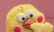 金牛座男生和水瓶座女生在一起合适吗（金牛座男生跟水瓶座女生配吗）