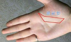 十大吉祥手相榜首（手纹算命图解）