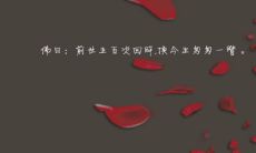 前世五百次的回眸一笑百（前世的三千次回眸才换来今生）