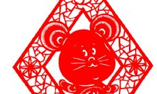 2023年男属牛的财运（属猪女和属牛男相配吗）