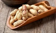 女人梦到很多花生什么预兆（属蛇的和属鸡的配吗）