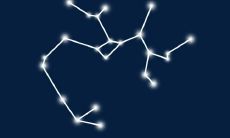 十二星座处女座有什么（12星座性格特点）