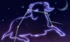 2023年12月星座运势完伽巫整版金牛（金牛座今日运势2023年运势）