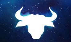 金牛女对爱情（金牛女开始烦你的表现）