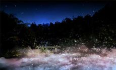 总梦到一个人说明他正在遗忘你吗（总梦到一个人说明什么）