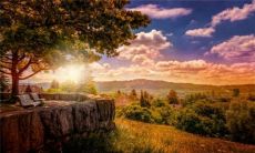 双子女的爱情软肋在哪（双子座一辈子纠缠的星座）