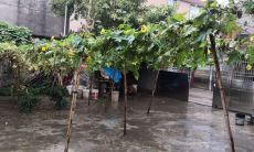 买房不信风水可以吗（风水大师说的房子不好的话能信吗）