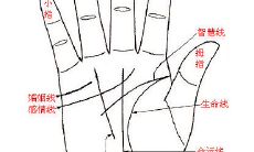 贫穷手相图解（女人富贵命罕见手相凤尾纹）