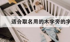 婴儿起名字大全带木（个体户取名字大全三个字）