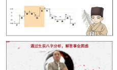 日柱丙申男是什么命（日柱乙亥男命）