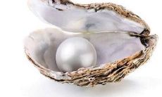 怎么测试前世是什么身份（如何知道自己的前世）