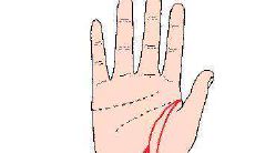 我要看看手相生命线的讲解（手相如何看生命线）