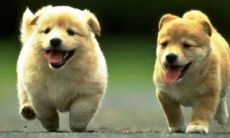 紫微圣人最新情况（2001属蛇男今年命运怎么样）