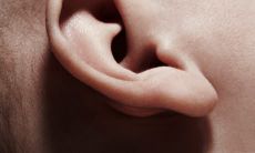 面相学耳垂代表什么（面相鼻子大代表什么）