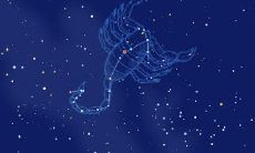 天蝎星座特点和性格（天蝎座的性格特征）