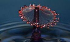 六爻唐轸干了什么（六爻中唐轸是坏人吗）