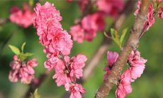 女人中年大运养运好不好（为什么转大运了还是不顺）