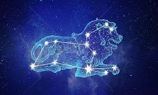 星座里面狮子座有什么特点（星座狮子座的性格）