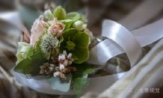 双鱼座的生辰花是什么小花仙（双鱼座的花语是哪种花）