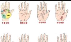 火星线手相性格（手相火星平原）