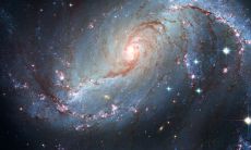 9月上旬什么星座（10月什么星座）