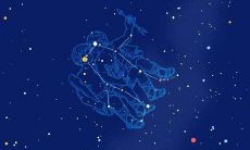 关心双子座男会怎么样（天秤座男和什么星座最配）