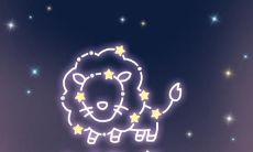 狮子座女生的占有欲（狮子座容易被掰弯吗）