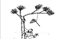 己酉日柱癸酉时生（日柱己酉女命三命通会解释）