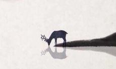 测试你像哪个星座（测试一下我的星座）