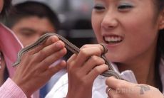 梦到蛇爬自己身上是什么意思（梦见蛇在身上爬吓醒了）