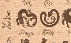 怎么看时辰的五行属性（怎么知道自己的生辰八字）