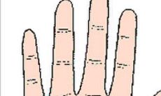 手相感情线螺旋纹（手相感情线图解）