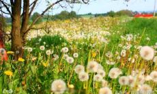 八字测早婚还是晚婚（八字晚婚年龄一般是多少岁）