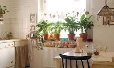 厨房适合摆放什么利风水（冰箱摆放最佳风水方位）