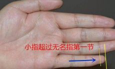 看手相小拇指长度（网上不要让人看手相）
