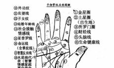 手相三大财富线（女人手相财富线在哪）