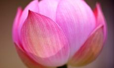 六道轮回的人都有什么特点（人死后多久轮回转世一次）