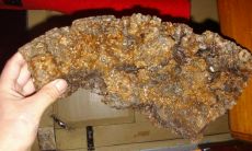 野生石太岁红色的长怎么样（长白山太岁溶洞在哪里）