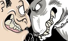 属虎的与到属蛇的（属蛇和属虎谁强谁弱）