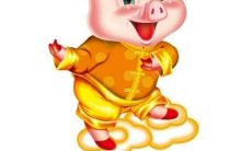 属狗属猪在一起合适么（属羊和属狗的相配吗）